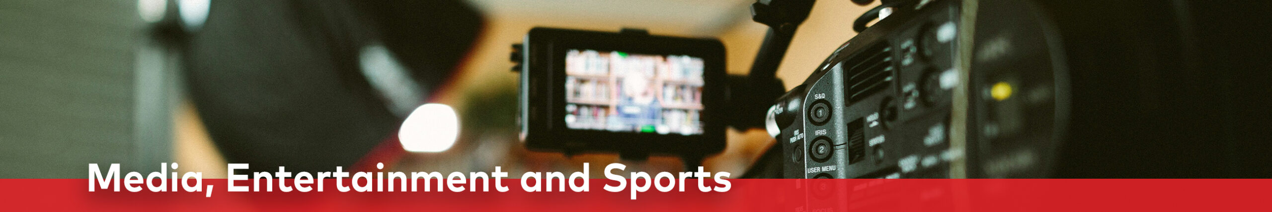 Media, Entertainment and Sports