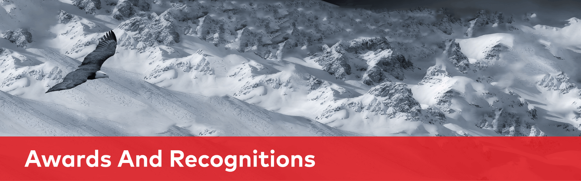 Awards And Recognitions